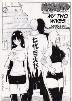 Cover My Two Wives
