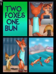 Cover Two Foxes One Bun