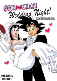 Cover Wedding Night